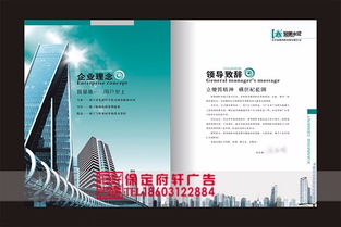 精准视觉赋能品牌成长 保定企业如何通过设计与专业服务实现全球突破